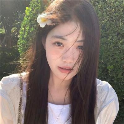 复仇岛